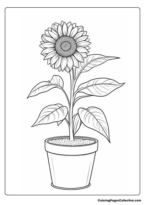 Flower Pot Coloring Pages Sunflowers Coloring Pages, Flower Pot Outline, Sunflower Colouring, Flower Pot Coloring Page, Flower Vase Coloring Pages, Sunflower In A Pot, Letter S Worksheets, Outline Art, Ways To Relax