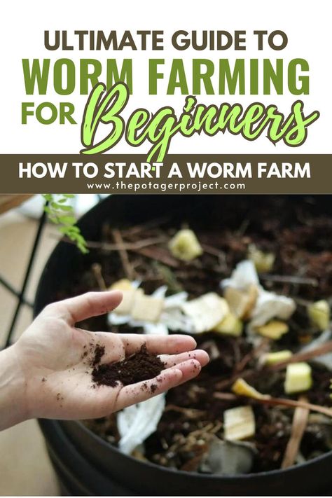 A hand holding a small amount of soil in front of a compost bin filled with organic waste, with a green fern visible on the right side. How To Start A Worm Farm, Farming For Beginners, Cricket Farm, Composting For Beginners, Cricket Farming, Worm Beds, Worm Farming, Best Companion Plants, Urban Backyard