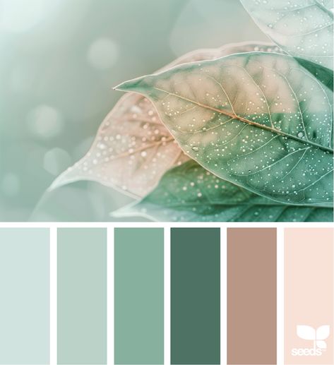 Design Seeds: Nature Inspired Graphic Design Mood Boards Branding, Balance Color Palette, Nutritionist Website, Branding Palette, Inspiration Color Palettes, Design Seeds Color Palette, Seeds Color Palette, Color Thesaurus, Seeds Color