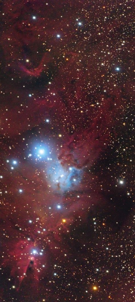 NGC-2264 The Cone Nebula in NGC-2264 The Christmas Three Cluster by Chuck Manger cropped close up rotated mobile wallpaper 1080x2400 Cone Nebula, Astronomical Phenomena, Space Images, Deep Space, Mobile Wallpaper, The Christmas, Astronomy, Places To See, Close Up