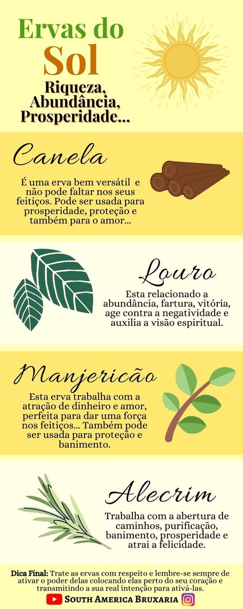 Essas 4 ervas não podem faltar no seu altar! Aprenda mais sobre as ervas na magia assistindo o nosso vídeo no nosso canal.  #magia #magianatural #magiacomervas #ervas #bruxaria #bruxarianatural Tarot Significado, Magia Das Ervas, Book Of Shadow, Witch Fashion, Witch House, Beltane, Chakra Meditation, 1k Followers, Bird Garden