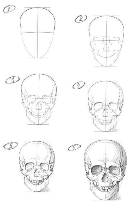 How to draw a skull with a pencil step-by-step drawing tutorial Quick Anatomy Sketch, Human Anatomy Art Sketches Study, Skull Study Drawing, Draw A Skull, Trin For Trin Tegning, Skull Anatomy, Skull Sketch, Skeleton Drawings, Istoria Artei