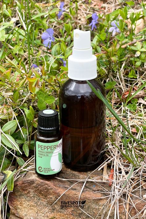 Natural Wasp Repellent, Mosquito Trap Diy, Wasp Repellent, Get Rid Of Wasps, Essential Oil Bug Spray, Bug Repellant, Wasp Stings, Natural Mosquito Repellant, Mosquito Trap