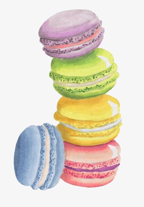 Pastel Macarons, Kue Macaroon, Colorful Macarons, Food Art Painting, Dessert Illustration, 귀여운 음식 그림, Macaroon Recipes, Food Clipart, Food Illustration Art