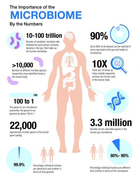 importance of microbiome Microbiome Illustration, Human Microbiome, Healthy Healing, Health Images, Gut Healing, Live Healthy, Detox Your Body, Healing Food, Body Makeup