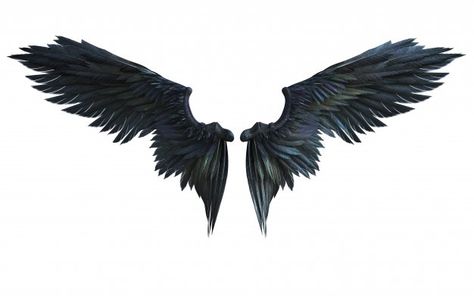 3d illustration demon wings, black wing plumage isolated on white background Photo | Premium Download Maleficent Wings Tattoo, Wings Images, Lucifer Wings, Angel Wings Art, Demon Wings, Wings Black, Black Angel Wings, Wings Drawing, Angel Wings Tattoo