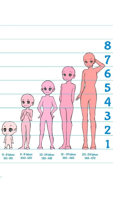 Height Comparison Drawing, Ika Gayou, Height Comparison, 얼굴 드로잉, Character Model Sheet, Manga Drawing Tutorials, Animation Art Sketches, Creative Drawing Prompts, Animation Reference