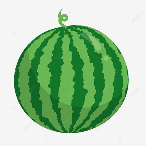 summer whole watermelon png Whole Watermelon, Watermelon Clipart, Watermelon Girl, Cool Clipart, Cool Food, Fruit Combinations, Pineapple Yellow, Fruit Clipart, Watermelon Summer