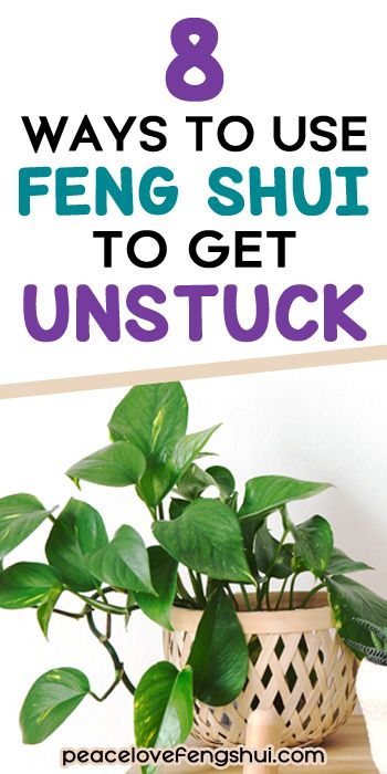 Feng Shui Wealth Corner, Stuck Energy, Feng Shui Basics, Feng Shui Plants, Feng Shui Guide, Fen Shui, How To Feng Shui Your Home, Feng Shui Wealth, Feng Shui Energy