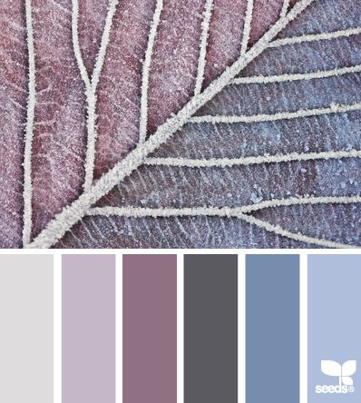 Frosted Tones Design Seed, Graphisches Design, Color Palate, Design Seeds, Color Balance, Color Stories, Color Textures, Colour Schemes, Color Pallets