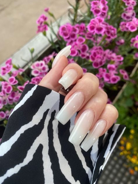 Milk Color Nails, Milk Color, Color Nails, Nail Inspo, Nail Colors, Milk, Nails, Quick Saves, Color