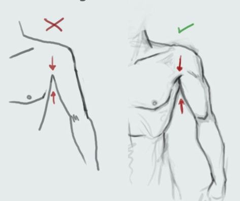 HUMAN ARTIST | TOTK ERA!! — Anatomy Tips by zephy.fr Support the artist and... Bending Reference, How To Draw Arms, Torso Reference, Draw Arms, Anatomy Tips, Realistic Eye Drawing, Concept Art Drawing, Anatomy Drawing, Learn Art