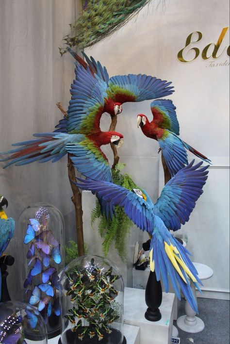 Bird Paper Craft, Paper Art Sculpture, Art Assignments, Parrots Art, 3d Paper Art, Art Appliqué, Diy Wall Art Decor, Latest Series, Art And Craft Videos