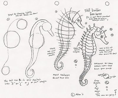 Adron's Art Lesson Plans: Spectrum Homeschool Art Lesson Plans March 3, 2011 Draw Seahorse, Seahorse Drawing, Seahorse Art, Homeschool Art, Arte Sketchbook, Art Lesson Plans, Art Instructions, Art Lesson, Kraken