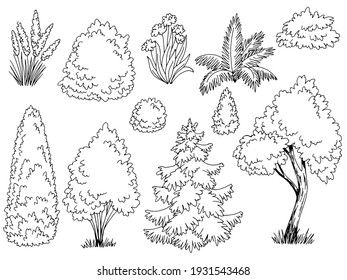 Bushes Drawing, Bushes For Front Of House, Bush Drawing, Pocket Garden, Pen Ink Drawing, Line Background, Plant Drawing, House Drawing