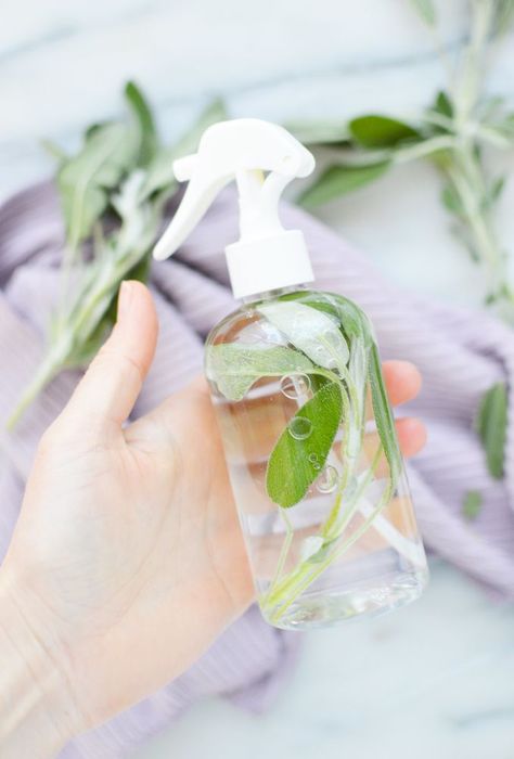 Sage is an herb thought to have a multitude of healthy home benefits. In fact, some people believe that sage can clear negative energy from a space. This DIY sage cleansing spray combines the power of natural ingredients to effectively cleanse your home with a lovely sage scent afterwards.    You will want to use fresh sage for this spray. Dried sage from the spice aisle will not be as effective - or as beautiful.    Ingredients you will need:  1 bunch of fresh sage leaves (about… Cleansing Home, Wax Air Freshener, Sage Cleansing, Sage Spray, Scrub Soap Bars, Natural Room Spray, Soap Melt And Pour, Smudge Spray, Cleansing Spray