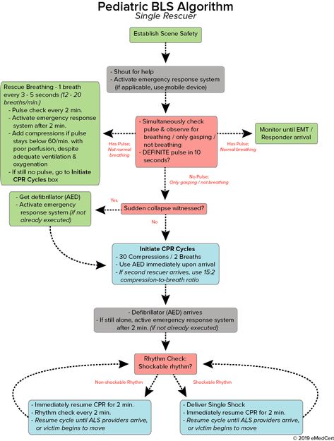 Pediatric BLS Single-Rescuer Algorithm | eMedCert Pals Algorithm, Basic Life Support, Study Apps, Medical Laboratory Science, Nursing School Tips, Medical School Inspiration, Laboratory Science, Medical Laboratory, Life Support