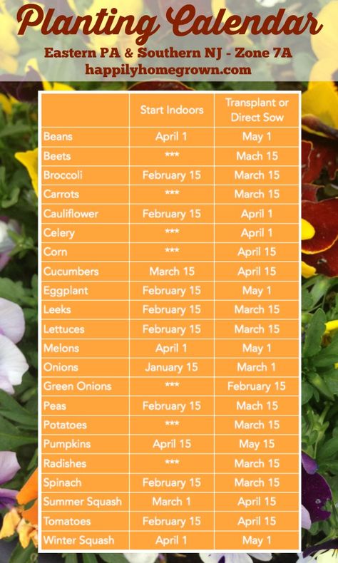 Do you live in eastern PA or southern NJ and want to know when to start your seeds? A planting calendar specific to our area is key! Vegetable Planting Calendar, Growing Calendar, Gardening Calendar, When To Plant Vegetables, Planting Calendar, Raised Bed Gardening, Homestead Gardens, Garden Calendar, Gardening Planting