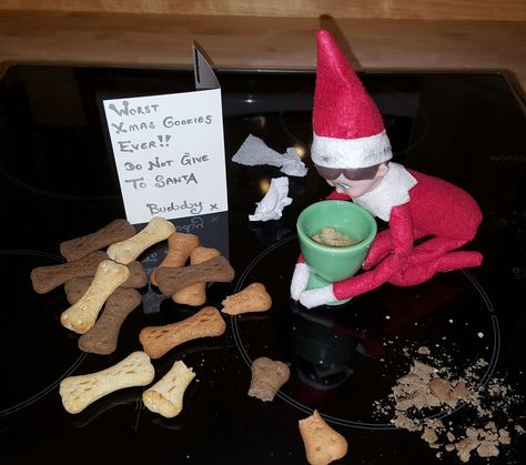 Dog biscuits Dog Treat Elf On The Shelf, Elf Pets, Xmas Elf, Elf Ideas, Dog Biscuits, Dog Pin, Shelf Ideas, Dog Treats, Pin Collection