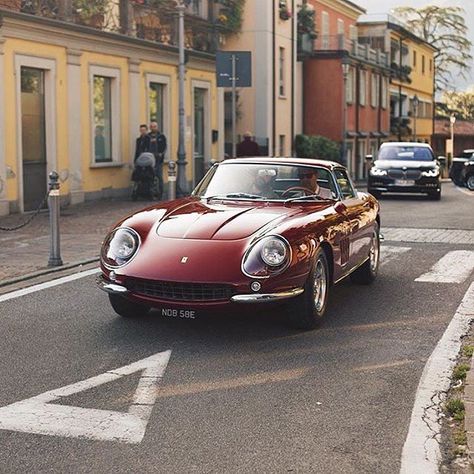 • Amaranto, Ferrari 275 GTB •  By @waxphotography #amaranto #275gtb #como #italy #road #ferrari #mercedesbenz #lamborghini #bugatti #porsche #carporn #vintage #firstpost #first #elegance #lux #luxury #luxurycar #luxurylife #f4f #fashion #cars #londoncars #blacklist #newyork #autoporn #automotive #instacar #follow #carvintage Ferrari 275 Gtb, 275 Gtb, Ferrari 275, Chevy Muscle Cars, Ferrari F40, Classic Sports Cars, Pretty Cars, Italian Cars, Classic Cars Vintage