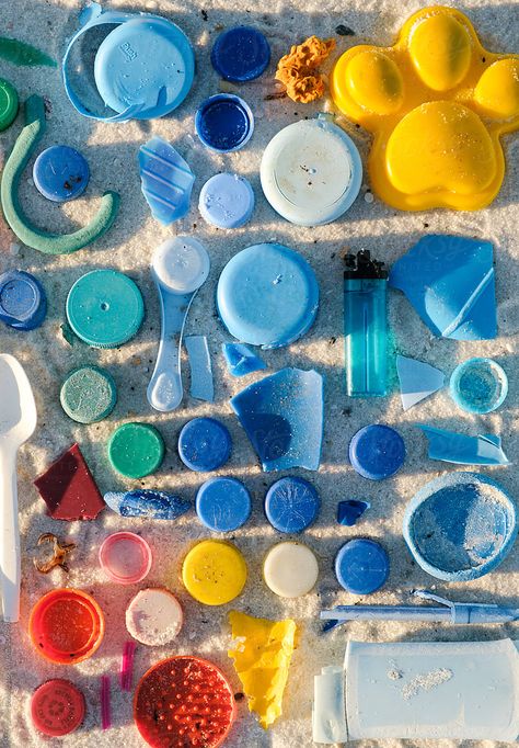 An arrangement of colorful litter found during a beach cleanup on the Florida coast that shows the environmental impact of plastic. Plastic On The Beach, Ocean Animation, Beach Cleanup, Plastic Trash, Girl Scout Troop, Marine Conservation, Concept Ideas, 2025 Vision, Environmental Impact