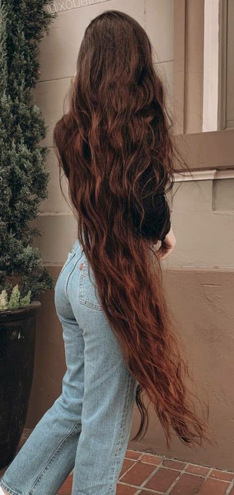 Knee Length Hair, Hip Length Hair, Floor Length Hair, Long Auburn Hair, Hairstyle Examples, Long Shiny Hair, Extremely Long Hair, Silky Smooth Hair, Long Silky Hair