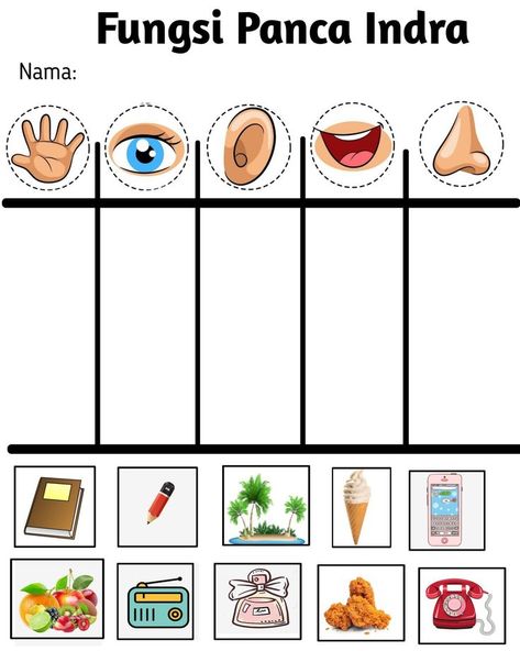 Body Parts Preschool Activities, Five Senses Preschool, Senses Preschool, Body Parts Preschool, Preschool Activities Printable, Senses Activities, Activities Printable, Art Activities For Toddlers, Kids Worksheets Preschool