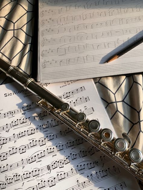 Flute shining in the sun light on top of a pad of sheet music with a pencil and a piece of sheet music on top of a bed. Flute Sheet Music Aesthetic, Flute Practice, Flute Aesthetic, Art Instruments, Alto Flute, Sunset Music, Tara Jones, Transverse Flute, Sun Bed