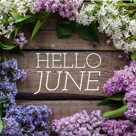 Happy New Month Quotes, Best Encouraging Quotes, New Month Wishes, June Quotes, Welcome June, New Month Quotes, Hello June, Days And Months, Wonder Quotes