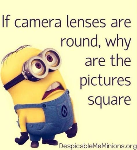 Funny Minion Pictures, Funny Minion Memes, Minion Pictures, Minion Jokes, A Minion, Funny Disney Jokes, Funny Texts Jokes, Funny Minion Quotes, Minion Quotes