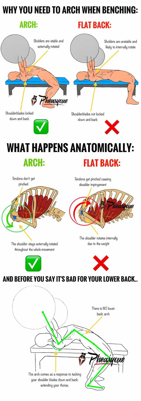 WHY YOU NEED TO ARCH WHEN BENCHING! YES, you NEED to arch, and I don’t care whether you’re against this statement or not, because if you are.. chances are you’re mistaking the “right way to arch with the “wrong one”. Implementing an Upper Back Arch (Thoracic Extension) when bench pressing ensures 3 very important things. SAFETY: By lockig your shoulderblades back together and holding them there for the whole movement. STABLILITY. Arching your upper back creates a strong “base” or muscle. STRENg How To Bench Press Correctly, Bench Press Form, Bench Press Workout, Fitness Hacks, Transformation Fitness, Sixpack Workout, Trening Sztuk Walki, Trening Fitness, Weight Training Workouts