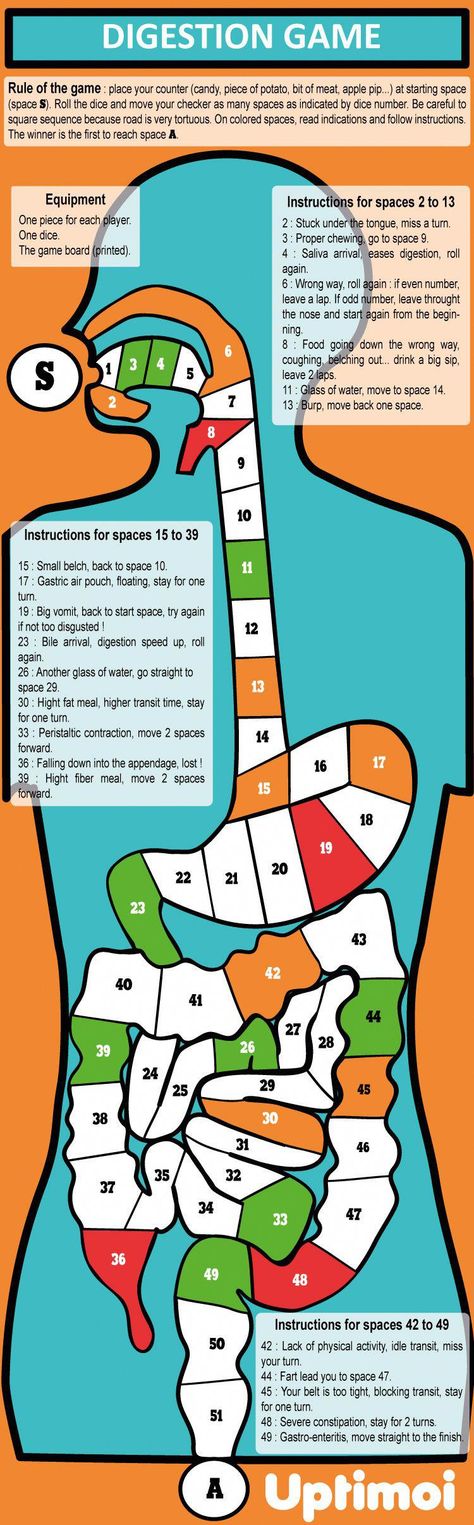 Digestive System Activities, Human Body Lesson, Human Body Unit Study, Oppgaver For Barn, Human Body Science, Games For Kids Classroom, Human Body Activities, Sistem Pencernaan, Science Games