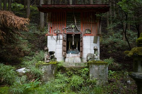 A slowly decaying Shinto shrine and its truly incredible torii — Tokyo Times Abandoned Shrine, Japanese Buildings, Japanese Mountains, Torii Gate, Shinto Shrine, Japanese Temple, Temple Art, Fantasy Setting, Night Routine