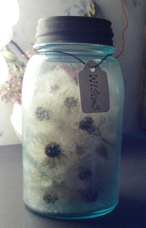 Dandelions in a jar for that moment when you need a wish ! Dandelion Crafts, Baby Hair Cut Style, Style Baby Hair, Dandelion Art, Dandelion Wishes, Dandelion Wish, Dandelion Flower, Mason Jar Crafts, In A Jar