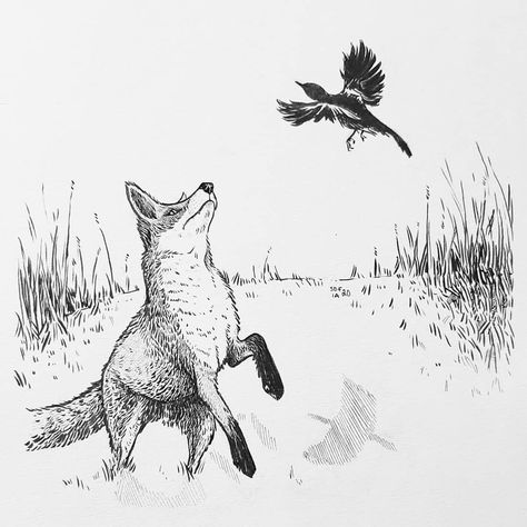 Fox Pen Drawing, Idea To Draw, Fox Drawing, Artsy Ideas, Wolf Dog, Art Idea, Ink Drawings, Pen Art, Pen Drawing