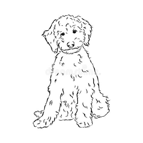 Labradoodle Tattoo, Poodle Vector, Labradoodle Drawing, Puppy Drawing Easy, Dog Line Art Tattoo, Poodle Drawing, Line Art Tattoo, Cute Dog Drawing, Puppy Sketch