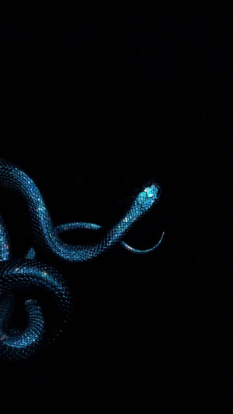 Snake Black Snakes Aesthetic, Sea Snake Aesthetic, Snakes Aesthetic Wallpaper, Snake Wallpaper Aesthetic Iphone, Blue Snake Aesthetic, Blue Snake Wallpaper, Snake Lockscreen, Blue Snake Art, Snake Aesthetic Wallpaper