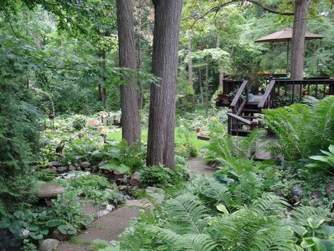 An Early July Backyard Shade Garden Walk in Green Bay, WI | Hometalk Backyard Shade Garden, Woodland Garden Design, Garden Pathways, Green Gardens, Backyard Garden Layout, Backyard Shade, Vertical Herb Garden, Garden Design Layout, Landscape Plans