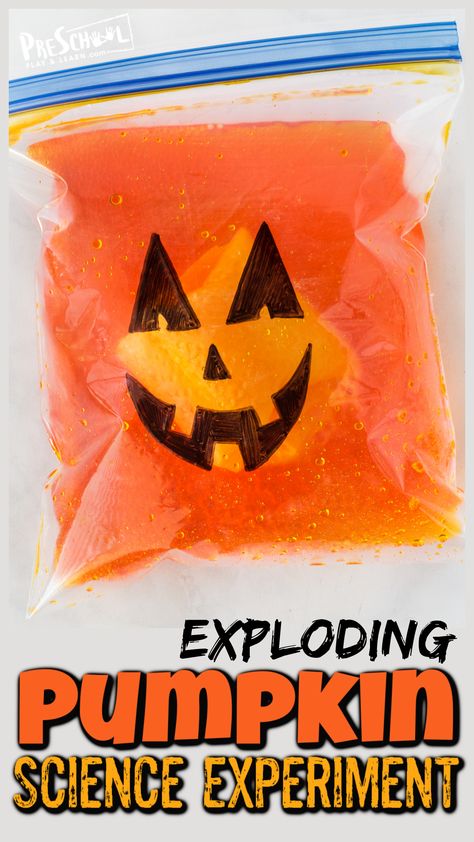 This outrageously FUN Exploding Pumpkin is a fun halloween science experiment for kids of all ages from toddler, preschool, pre-k, kindergarten, first grade, and 2nd grade students. This pumpkin activity is super simple to try using common materials you already have in your kitchen! Use this halloween activities to teach kids a little chemistry with this baking soda and vinegar experiment as part of your pumpkin theme or halloween theme in October. Pumpkin Science Experiment, Halloween Experiments, Pumpkin Math Activities, Candy Science Experiments, Pumpkin Activity, Pumpkin Science, Pumpkin Math, Fall Science, Imprimibles Harry Potter