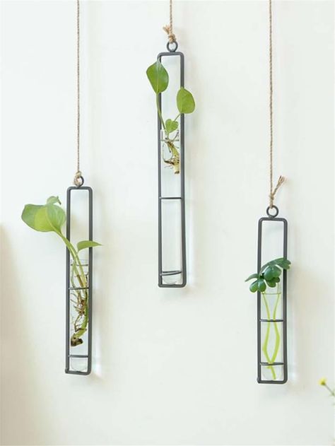 Vases Clear, Hanging Vase, Test Tube Vase, Flower Bottle, Hanging Plant Wall, Decorative Light Bulbs, Hanging Vases, Plant Vase, Wall Vase