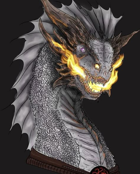 Dragon Knowledge, Dragon Tattoo Game Of Thrones, Dark Biblical Art, Got Dragon Eggs, Balerion The Black Dread, Wyvern Dragon, Hotd Dragons, Dragon Anatomy, Black Dreads