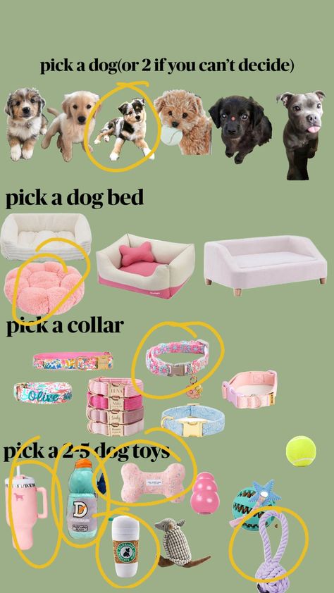 #doge Dog Supplies List, Cute Dog Stuff, Girly Products, New Puppy Checklist, Puppy Checklist, Cute Christmas Ideas, Pack With Me, Choices Game, Dream Pet