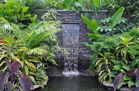 Pond Images, Brick Wall Gardens, Tropical Garden Plants, Tropical Waterfall, Garden Ideas Uk, Waterfall House, Tropical Landscape Design, Water Feature Wall, Courtyard Gardens Design