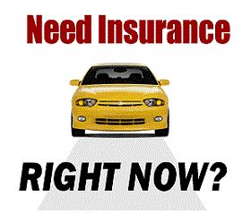 Cheap Auto Insurance With Bad Driving Record Cheap Car Insurance Quotes, Car Insurance Tips, Bear Quote, Term Life Insurance, Insurance Broker, Cheap Car Insurance, Life Insurance Policy, Start Saving Money, Auto Insurance Quotes