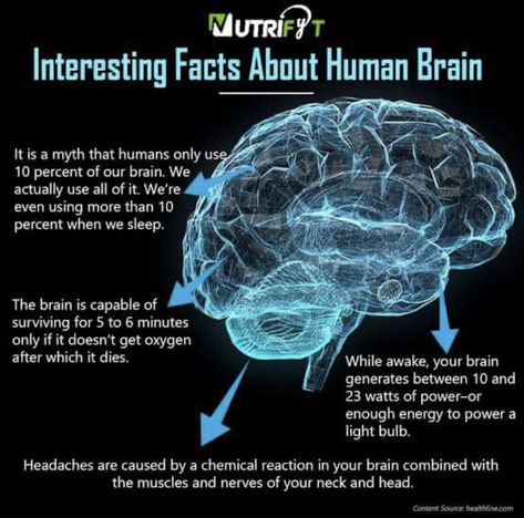 Human Brain Facts, Interesting Facts About Humans, Improve Brain Power, Science Facts Mind Blown, Brain Neurons, Brain Surgeon, Facts About Humans, Fun Fact Friday, Brain Facts