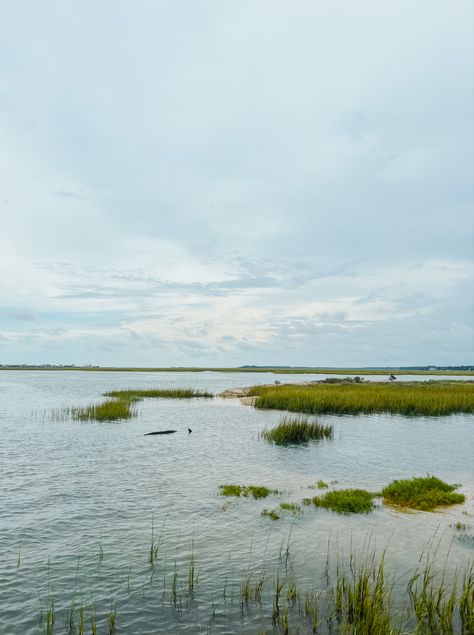 Low Country Aesthetic, Lowcountry Aesthetic, South Carolina Marsh, Charleston Vibes, North Carolina Lakes, South Carolina Lowcountry, North Carolina Coast, Wild Photography, Pawleys Island