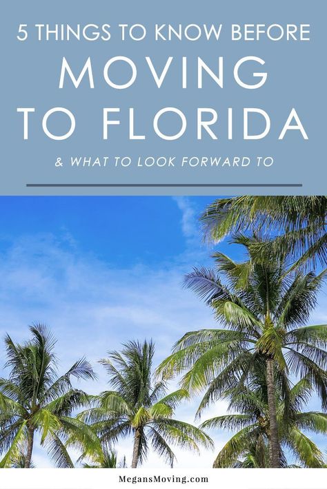 Move To Florida, Florida Apartments, Wellington Florida, Best Places To Retire, Moving To Miami, Kissimmee Florida, Clearwater Florida, Moving To Florida, Florida Living