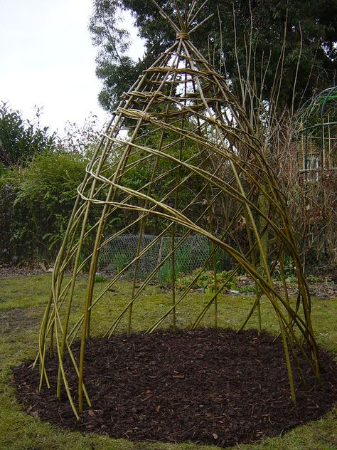 Willow Den, Willow Sculptures, Den Den, Willow Fence, Natural Playgrounds, Living Willow, Willow Garden, Willow Weaving, Sensory Garden