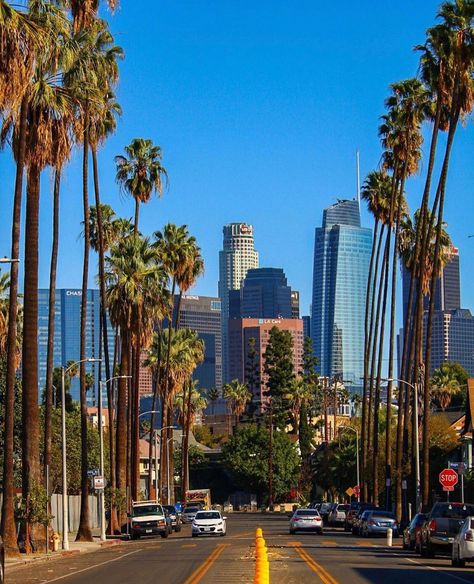 Los Angeles Cityscape, Downtown Phoenix Arizona, Los Angeles Wallpaper, Los Angeles Travel Guide, Arizona Aesthetic, Phoenix Images, Los Angeles Aesthetic, Instagram Los Angeles, Grand Canyon University