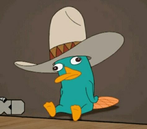 Parry The Platypus, Platypus, A Cartoon, Burritos